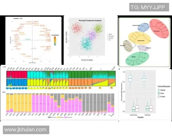 西安网球队在亚运会上的技术表现分析与评价