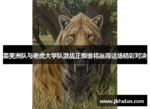 墨美洲队与老虎大学队激战正酣谁将赢得这场精彩对决