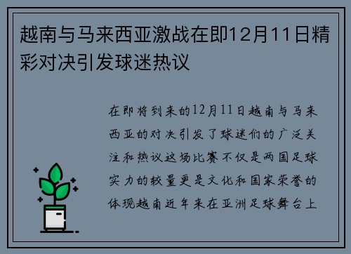 越南与马来西亚激战在即12月11日精彩对决引发球迷热议